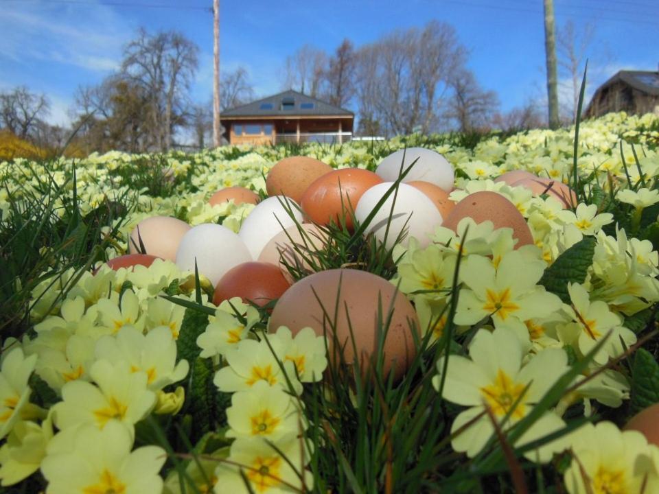 Les Perrelles Bed & Breakfast Bellecombe-en-Beauges Exterior foto